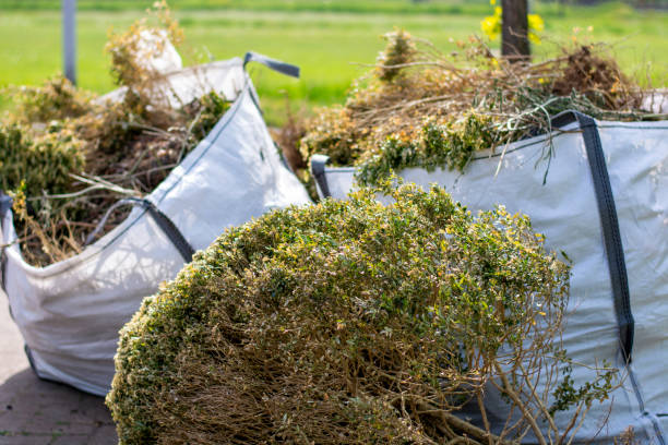 Best Electronics Removal Services  in Nesquehoning, PA